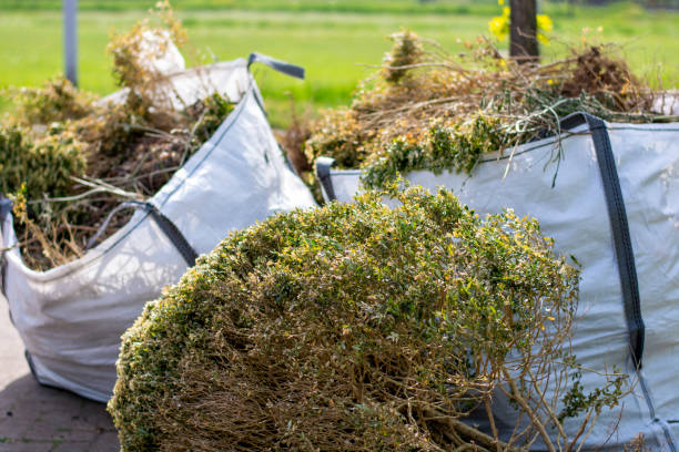 Best Yard Waste Removal  in Phenix City, AL